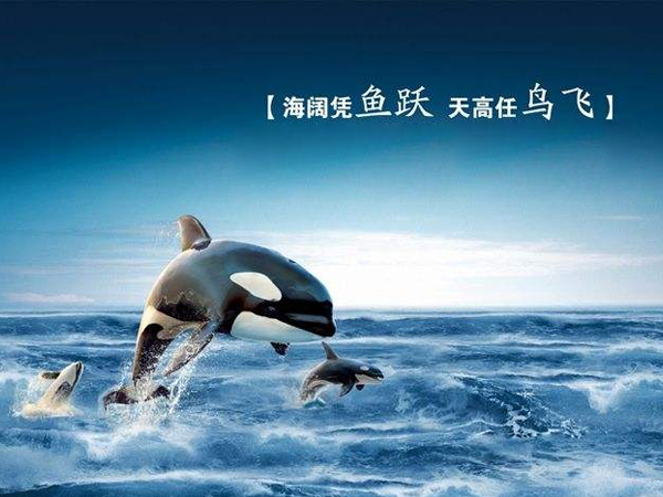 ��ҵ�Ļ�